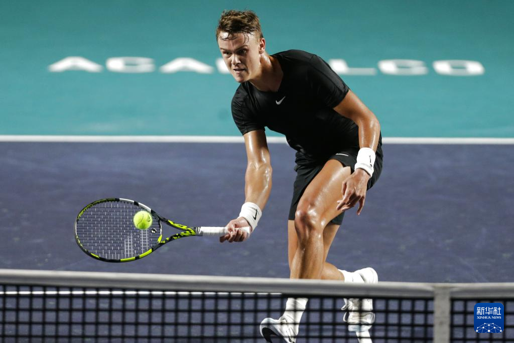 从新名单来 从新名单来