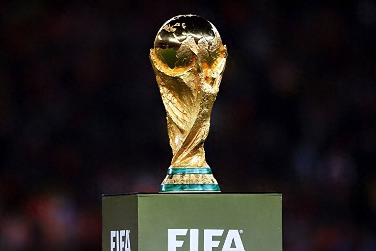 巩固了他们 巩固了他们