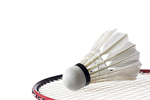 礼盒多为绑 礼盒多为绑